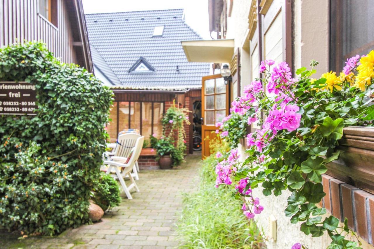 Likedeeler 3 Apartment Zingst Bagian luar foto